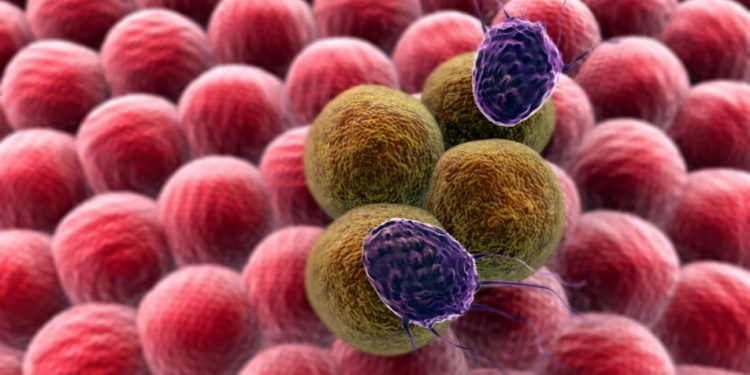 [אונקולוגיה סרטן ]הוא שם כללי למגוון מחלות בתחום האונקולוגיה, [אורן זריף]